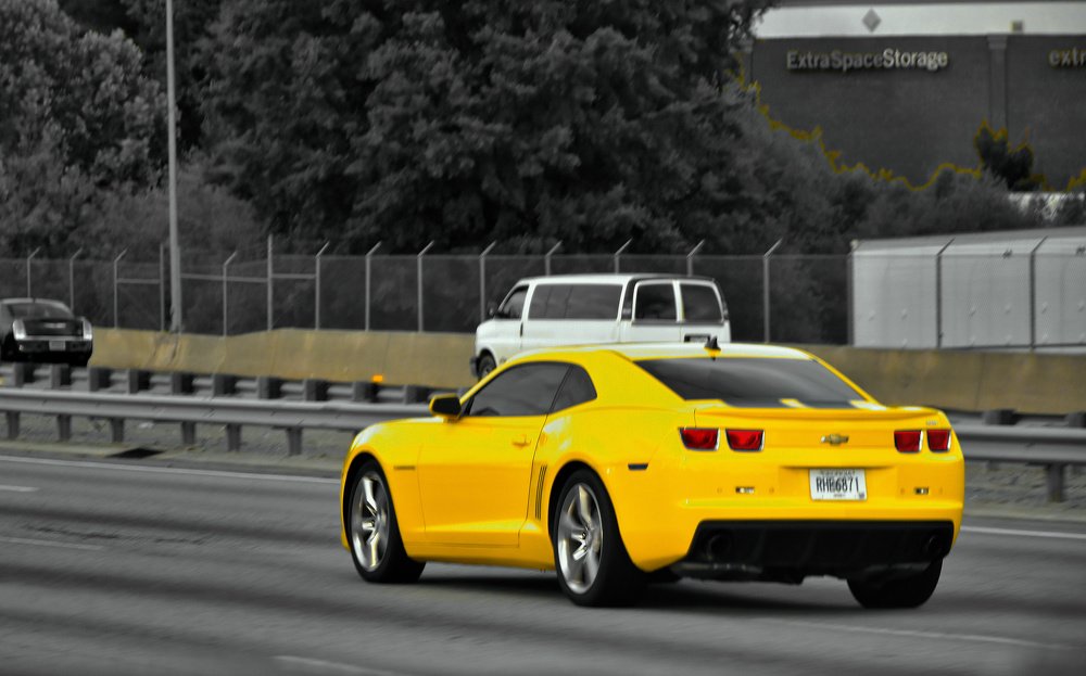 Photograph by Rishay Madan