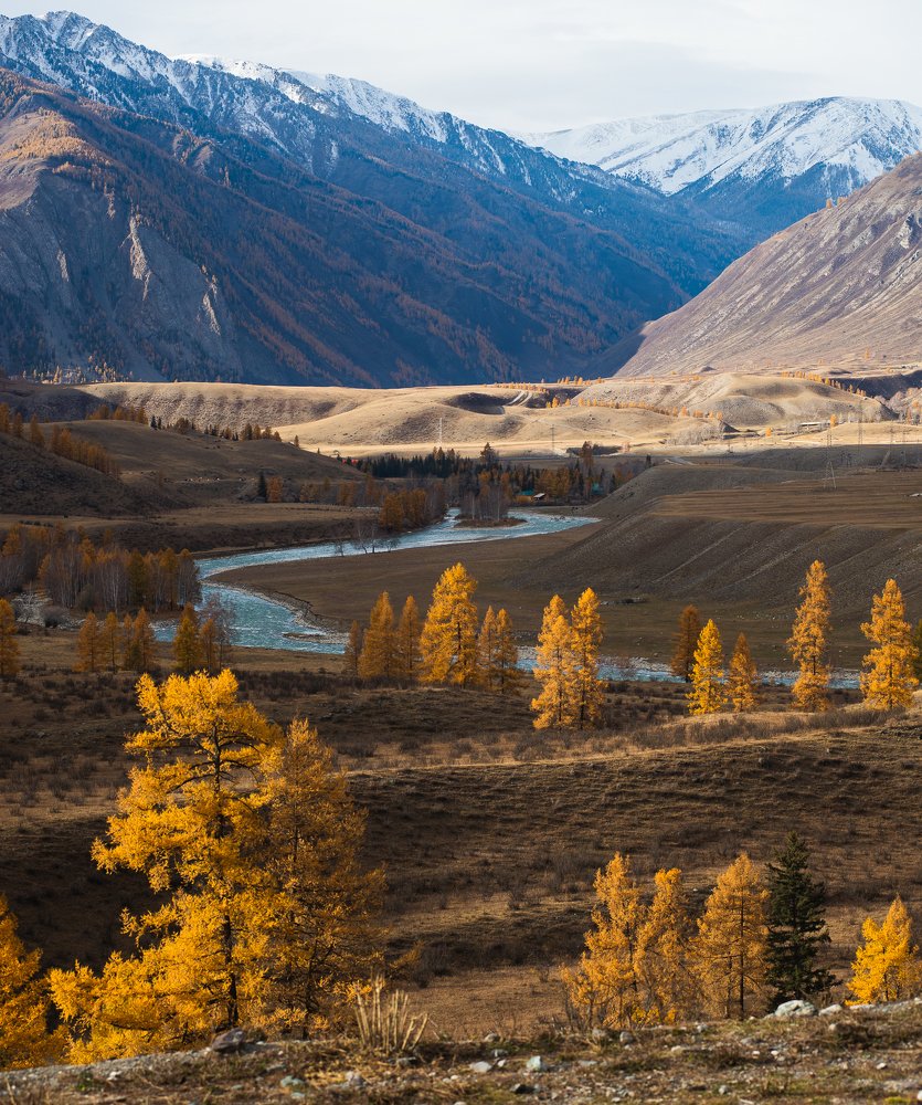 Photograph by Сергей Юрков