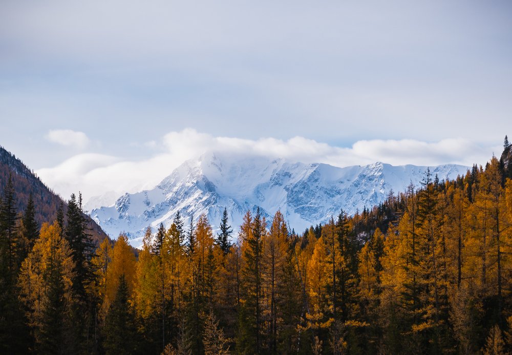 Photograph by Сергей Юрков