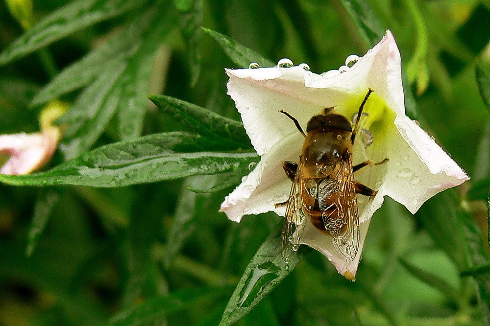 Photograph by Ольга Силакова
