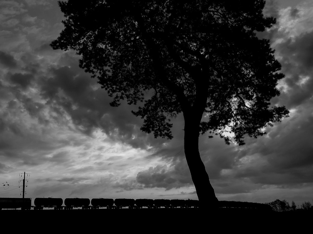 Photograph by Илья Гореньков