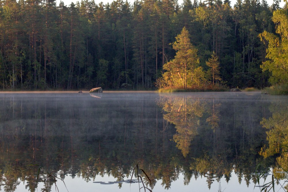 Photograph by Инна Юдина