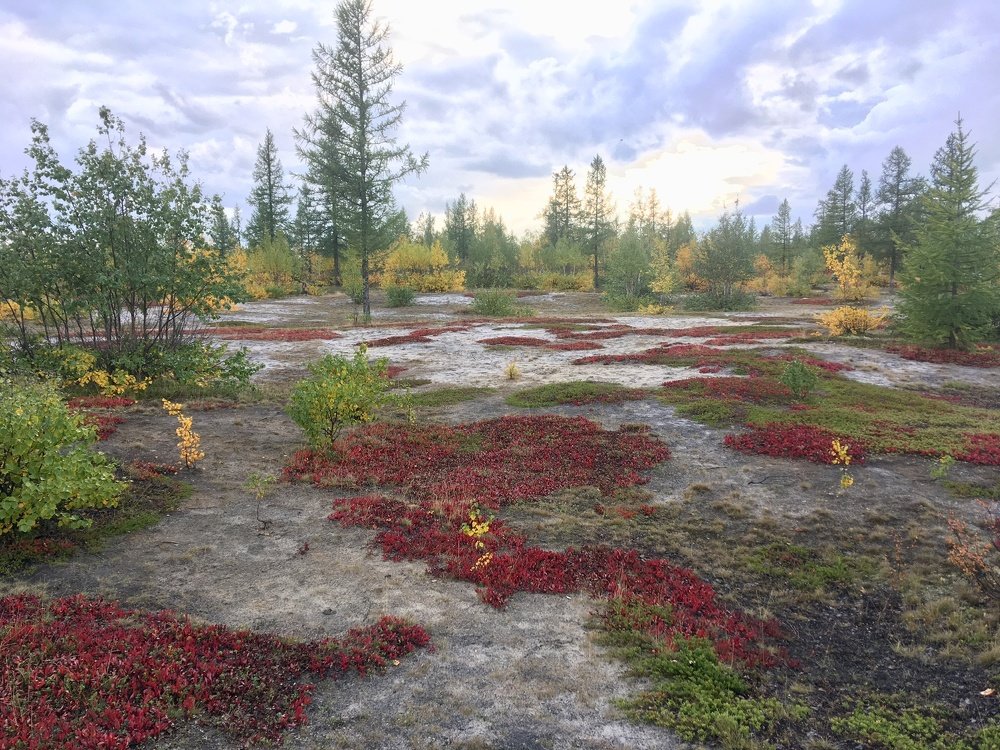 Photograph by Виталий Двоеглазов