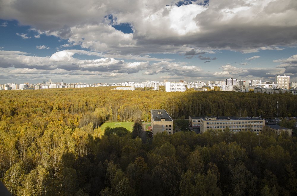 Фотография автора Людмила Куприянова