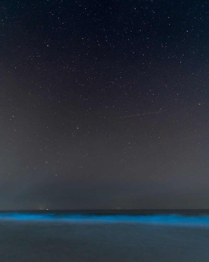 Photograph by Sheldon Rodrigues