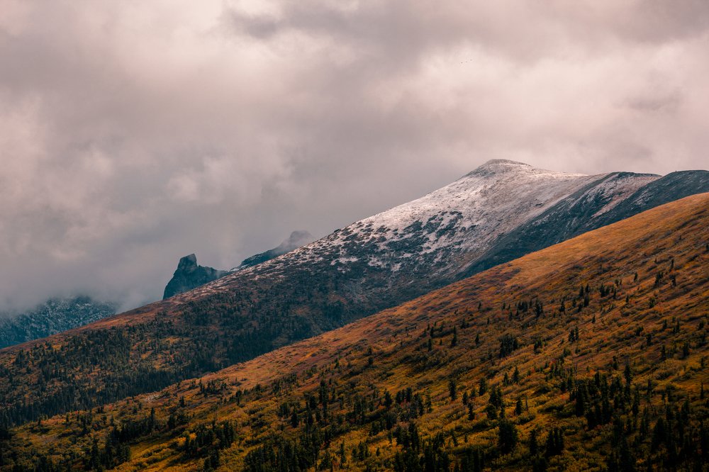 Photograph by Павел Хорст