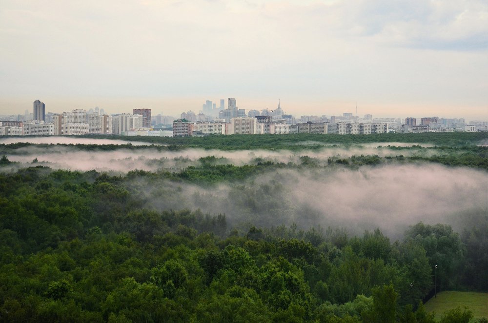 Фотография автора Людмила Куприянова