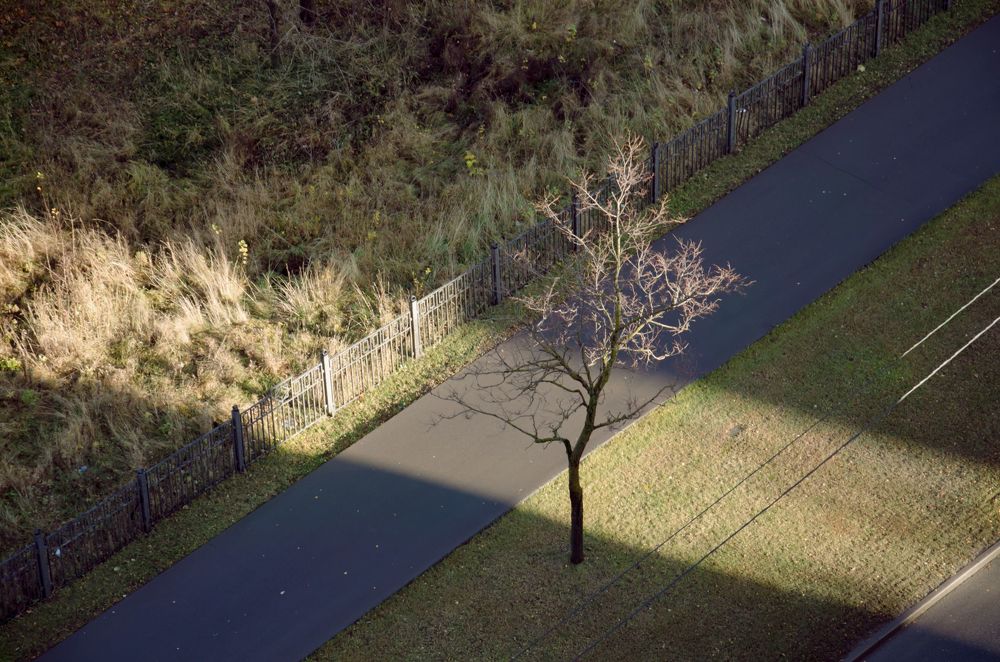 Фотография автора Людмила Куприянова