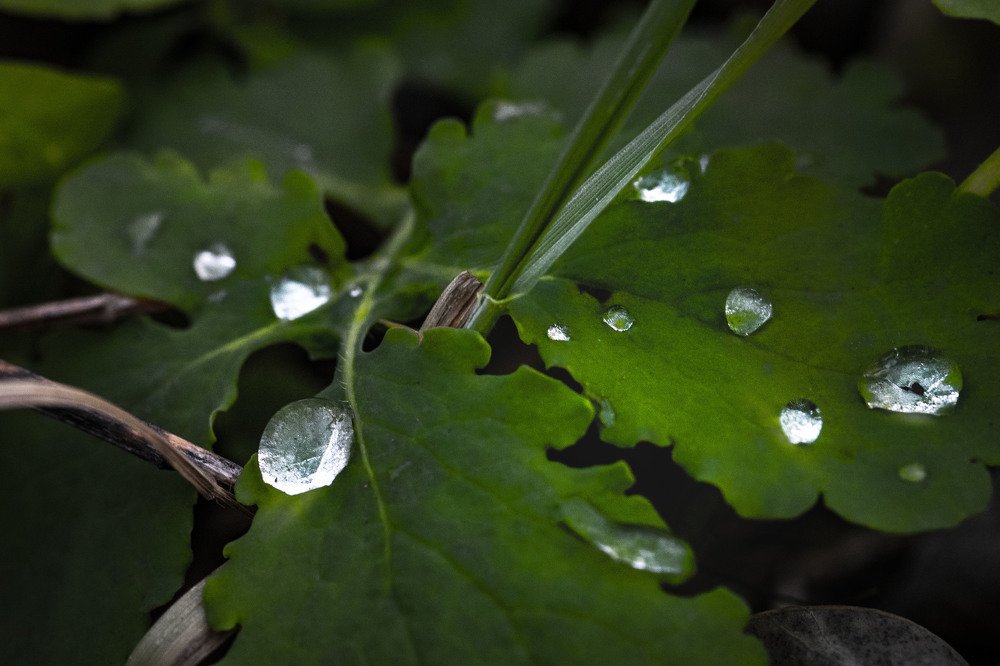 Photograph by Anke Sark