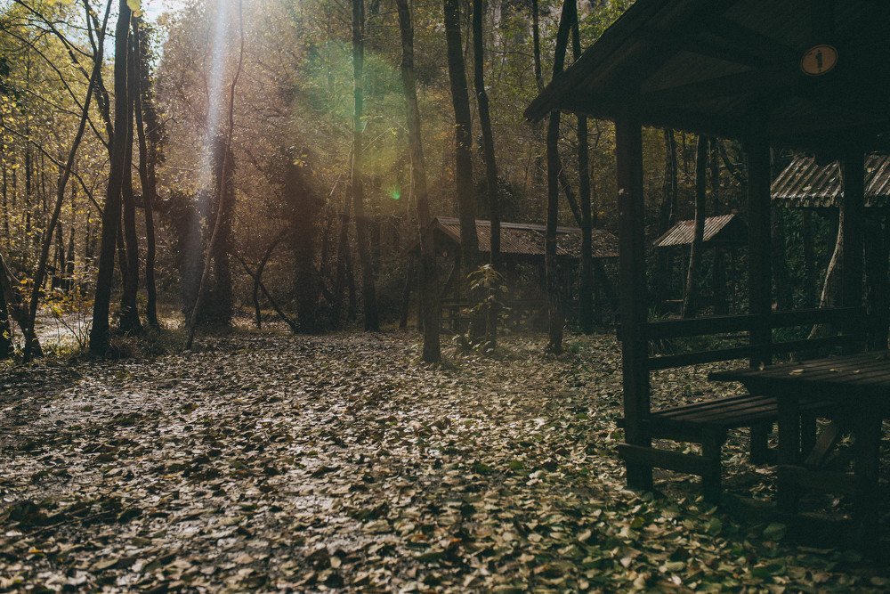 Photograph by Тень Таня