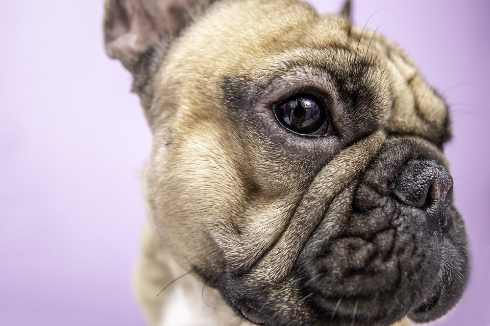 Photograph by Кадырова Марина