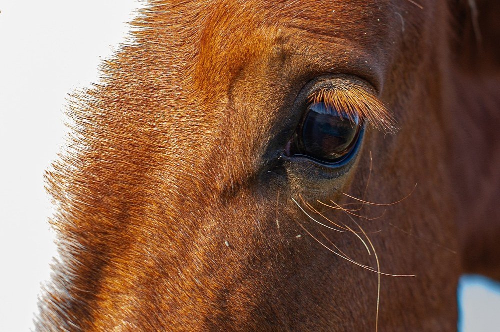 Photograph by Роман Васильев