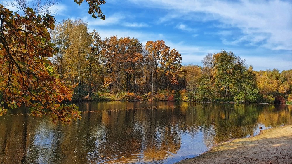 Фотография автора Маргарита Аракчеева