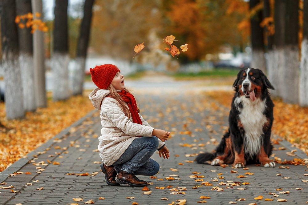 Photograph by Любовь Махиня