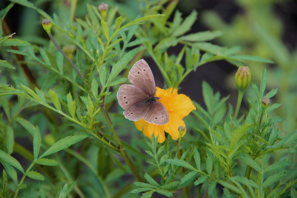 Photograph by Pavel Palkin