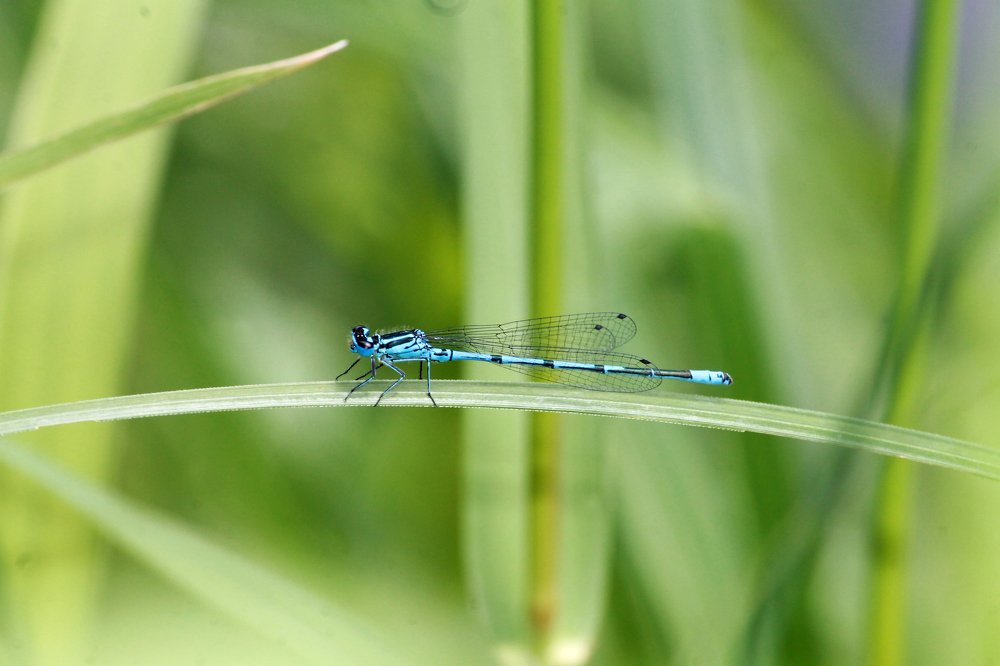 Photograph by Наталья Жигарева