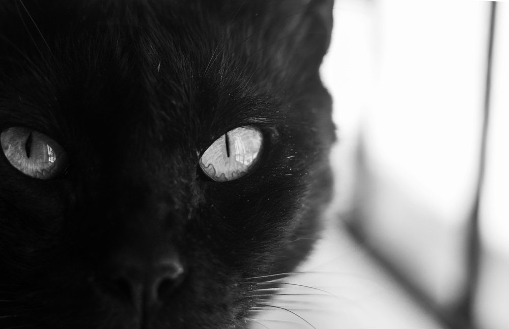 Photograph by Gerson Ricardo Costa Farias