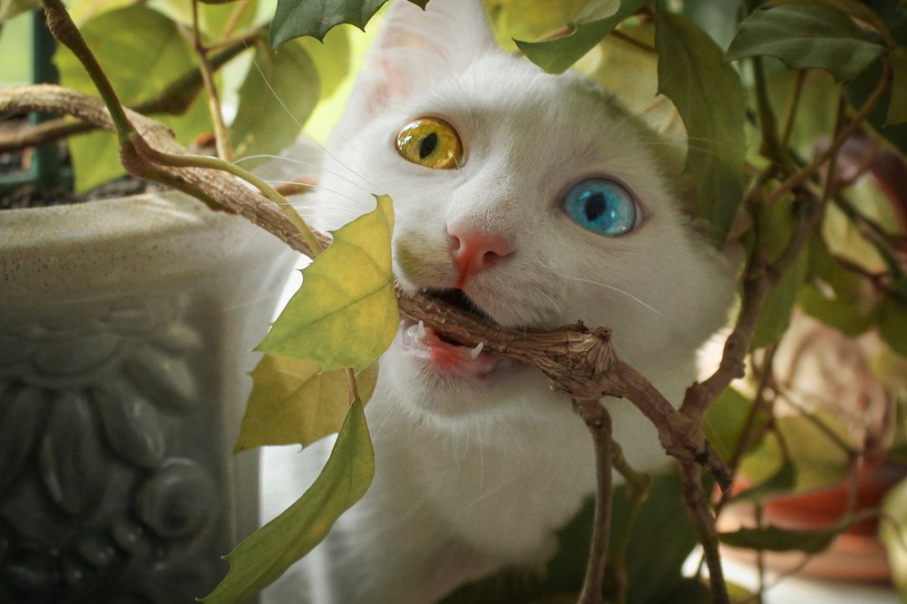 Photograph by Ольга Савостина