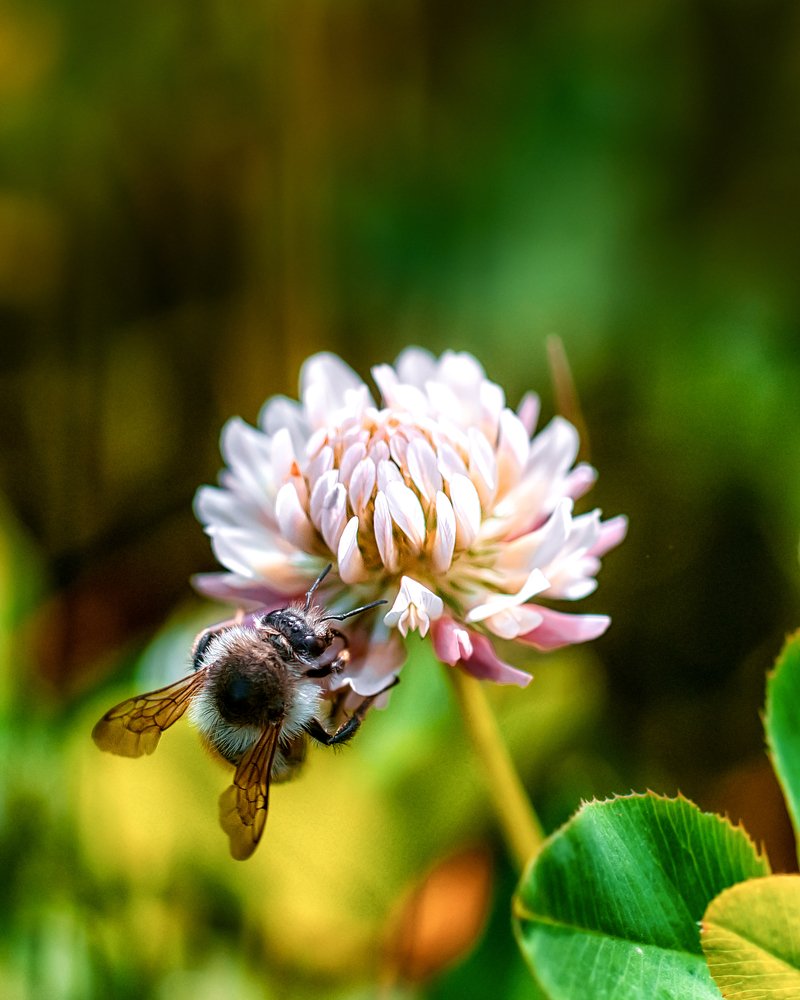 Photograph by Александр Соловьев