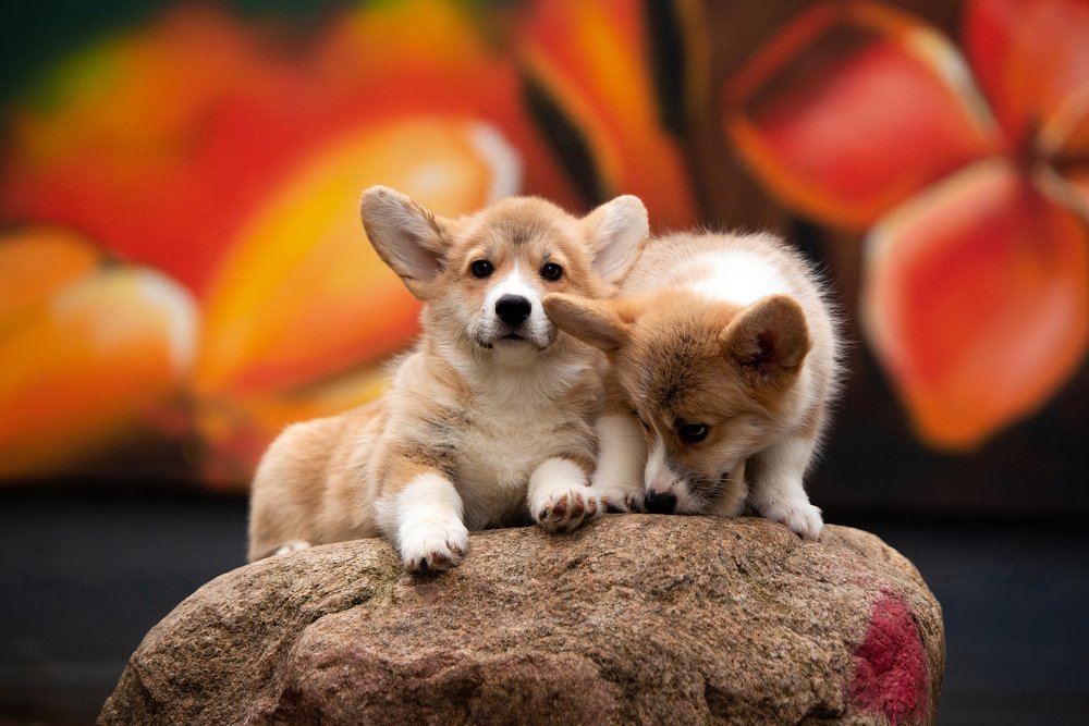 Photograph by Dasha Zueva