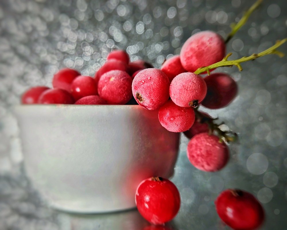 Смородина под инеем