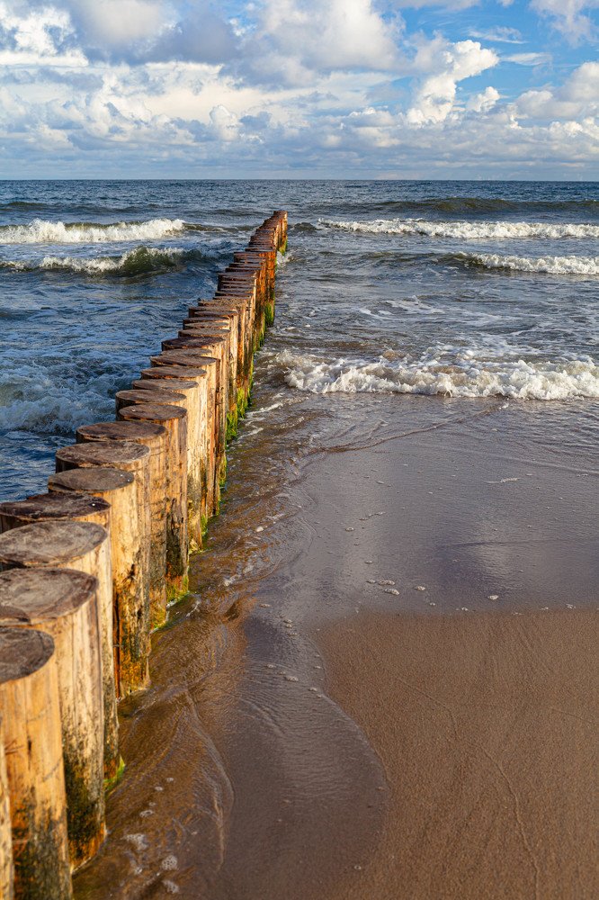 Без названия