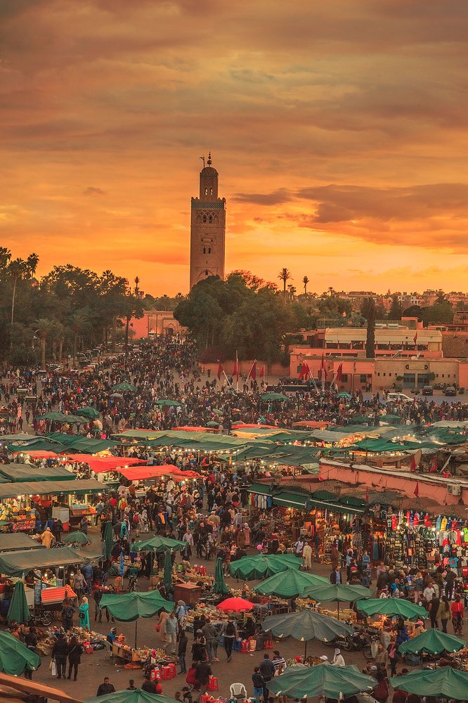 Фотография автора Viktoriia Antonova