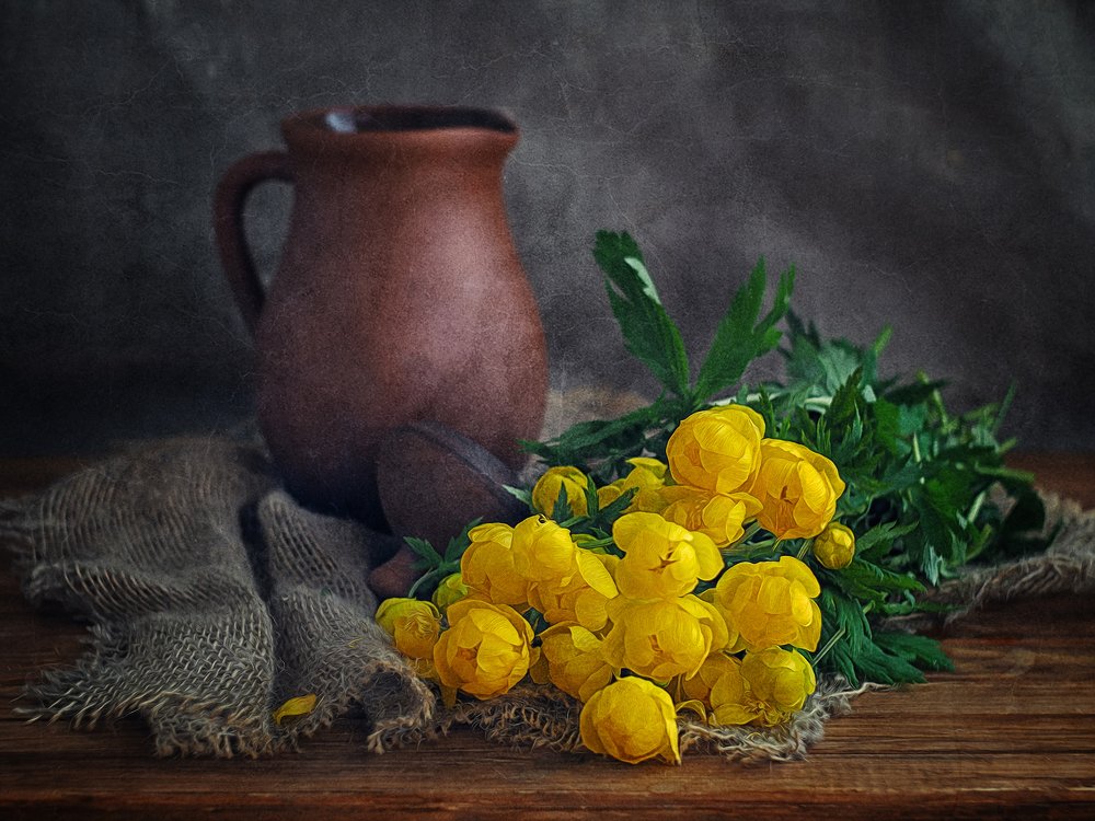 Photograph by Анисимова Оксана