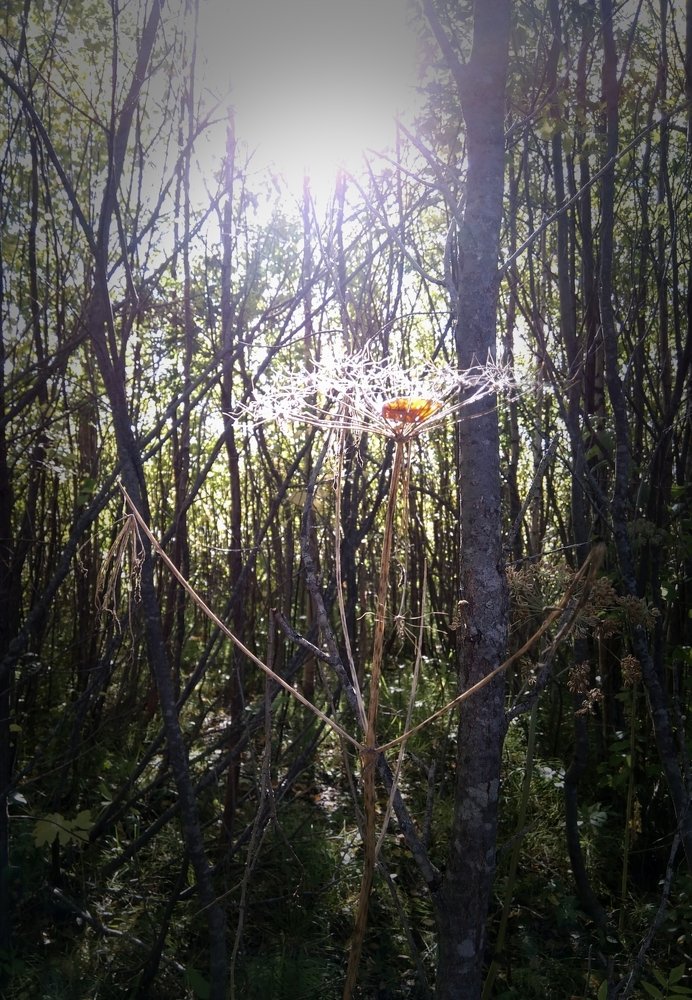 Photograph by Вадим Пикалов