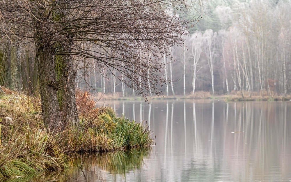 Photograph by Анна Широкова