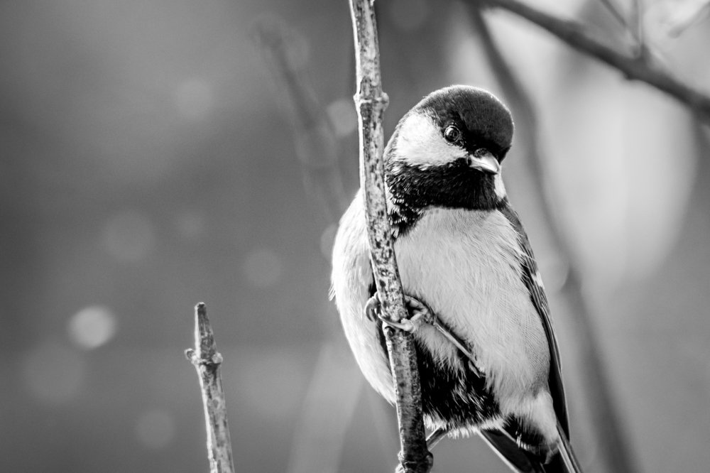 Photograph by Оксана Казакова