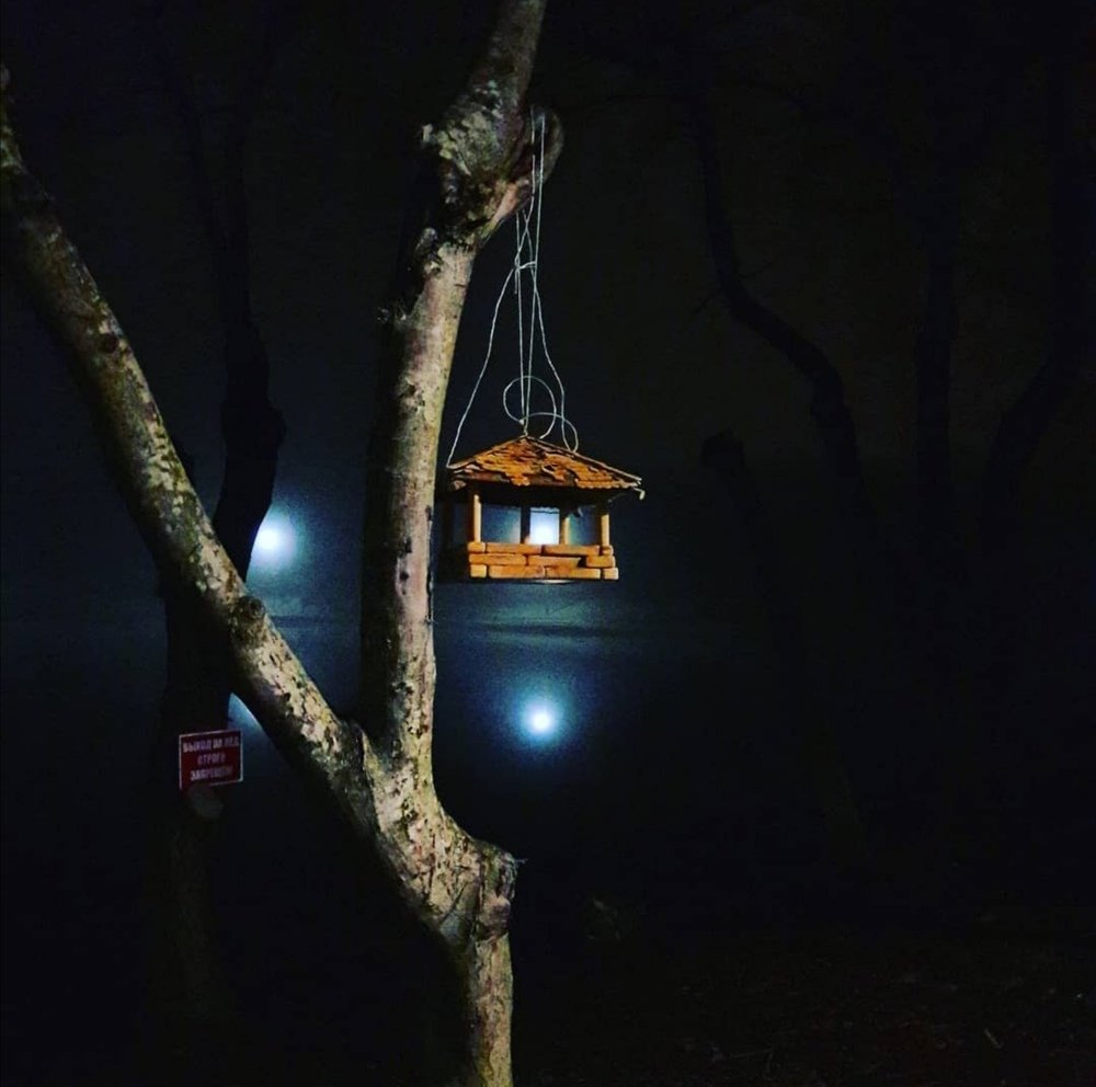Photograph by Элина Лысенко