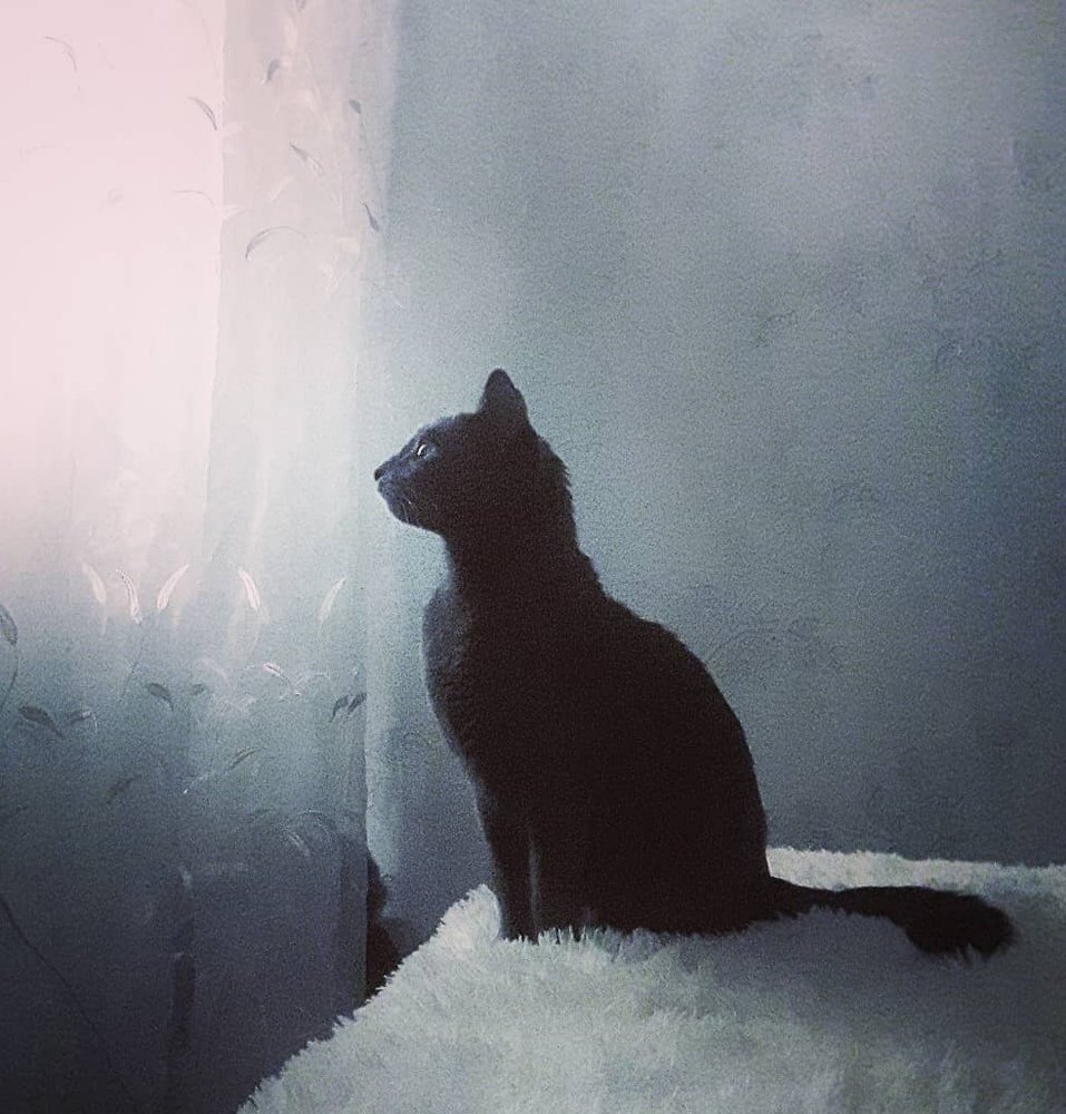Photograph by Элина Лысенко