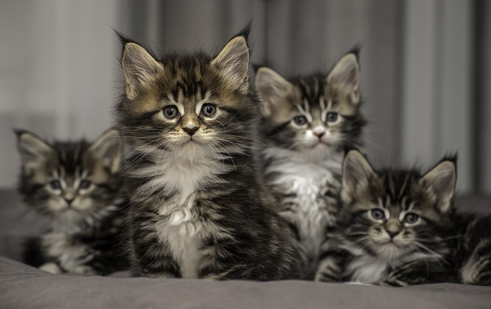 Photograph by Алексей Мистрюков