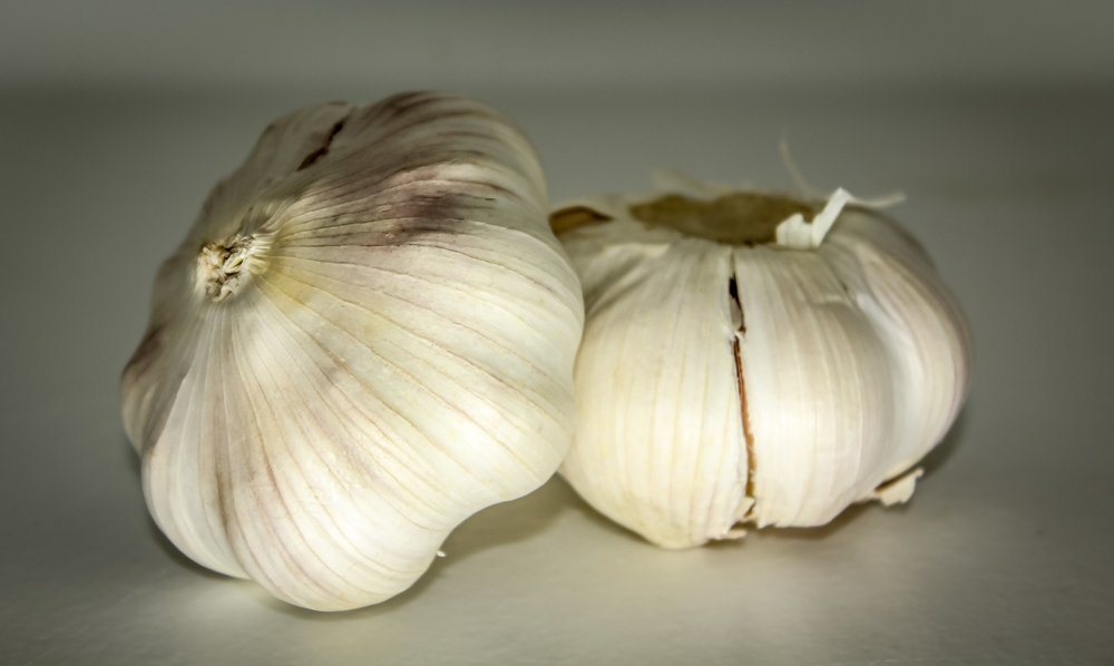 Photograph by Zaheer Baksh