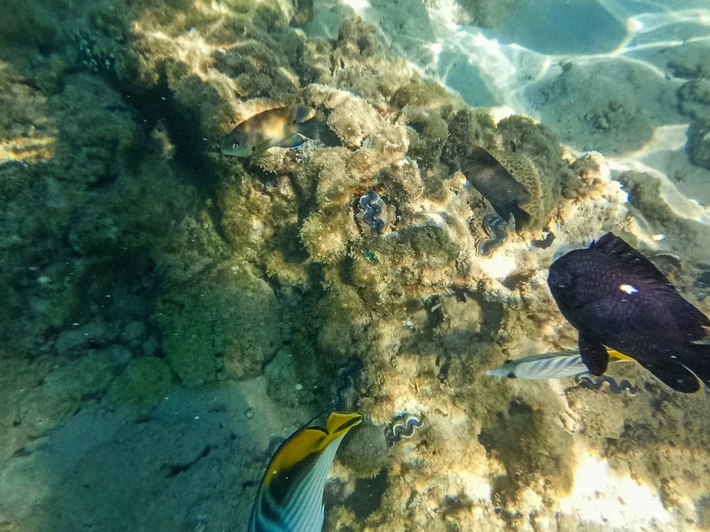 Photograph by Володимир Сорін