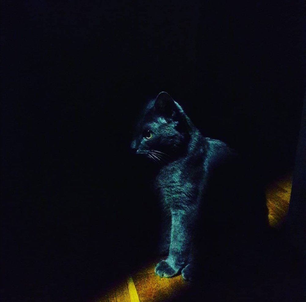 Photograph by Элина Лысенко
