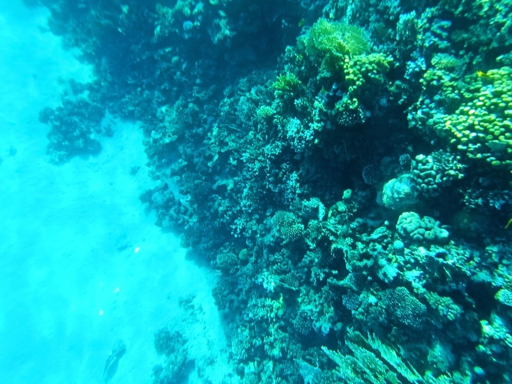 Photograph by Володимир Сорін