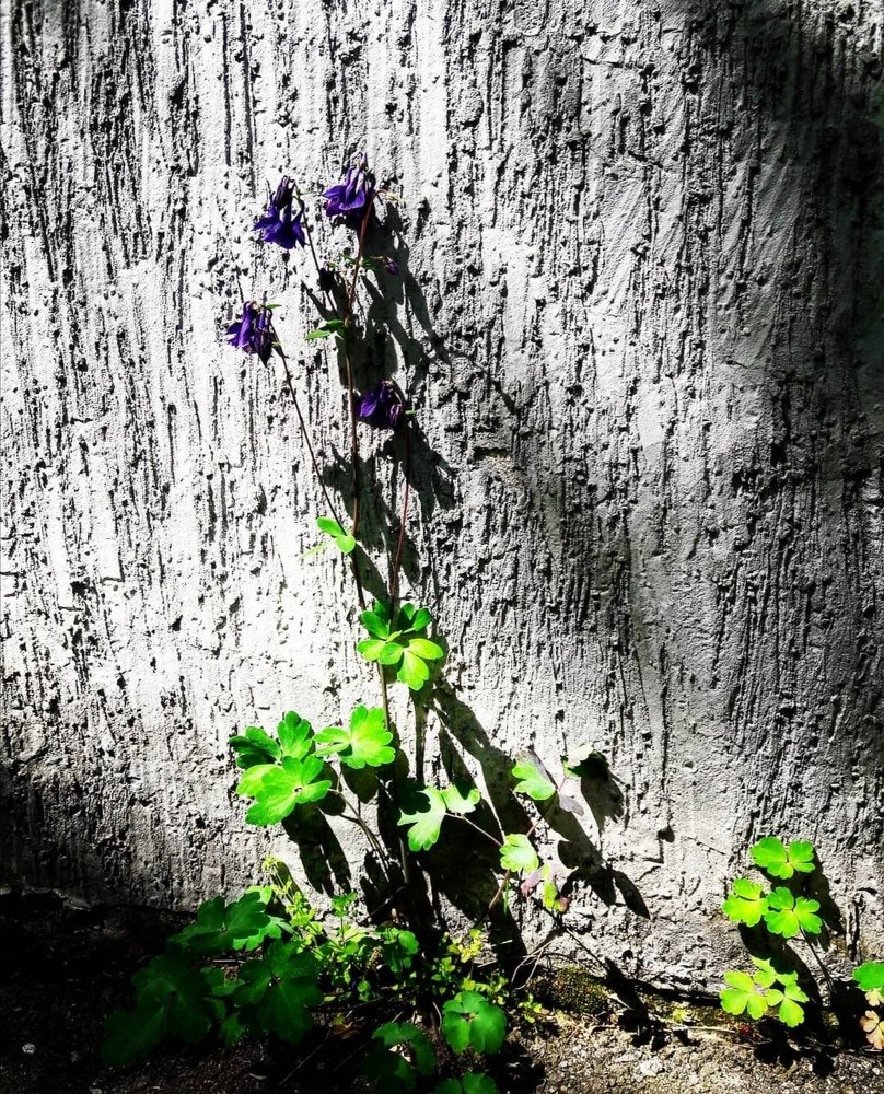 Photograph by Элина Лысенко
