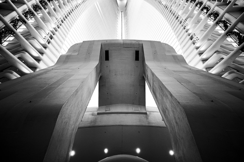 Photograph by Fabien Sans