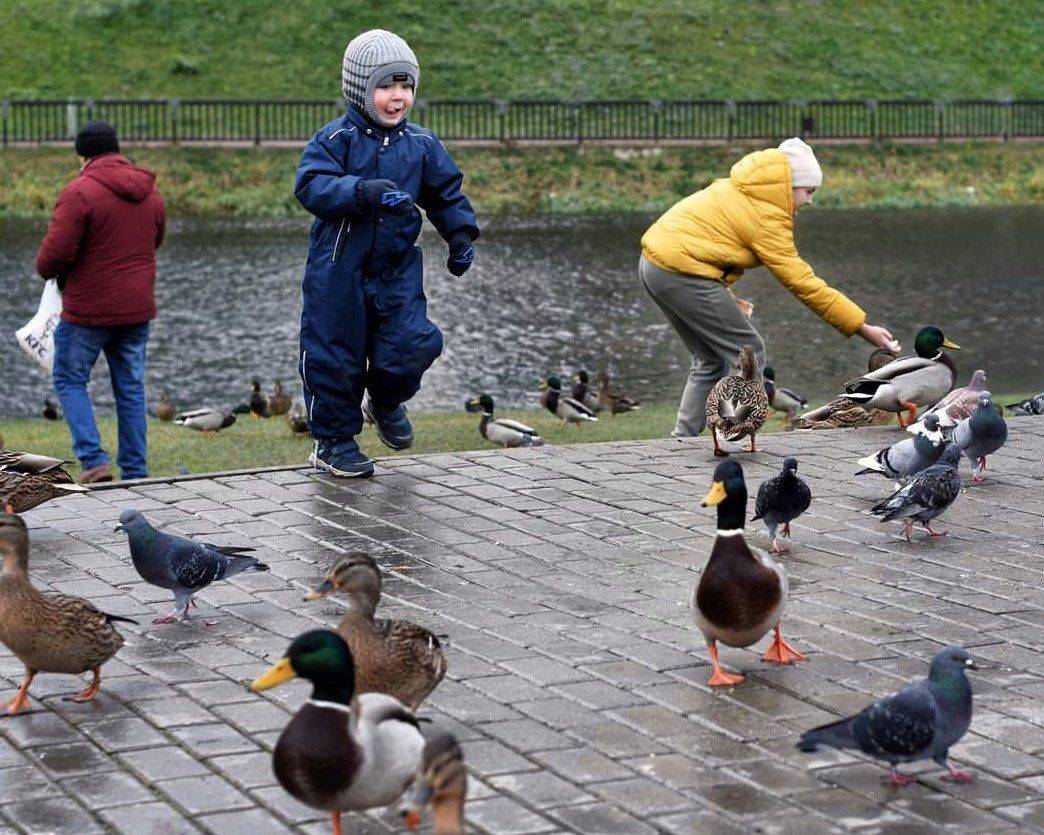 Догонялки / Catch-up