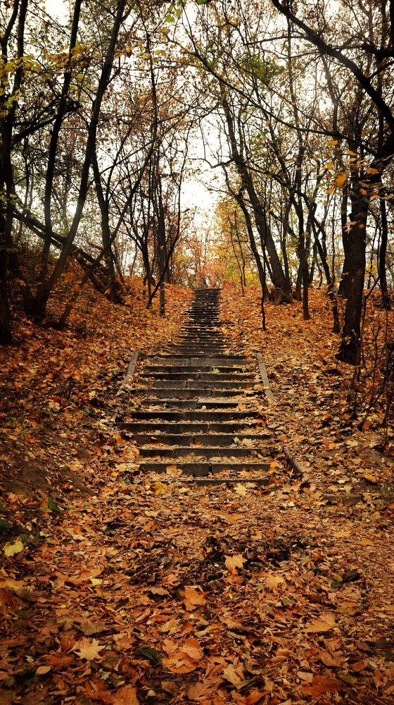 Photograph by Марина Шамич