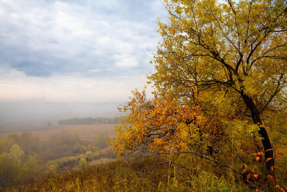 Photograph by Курочкина Диана