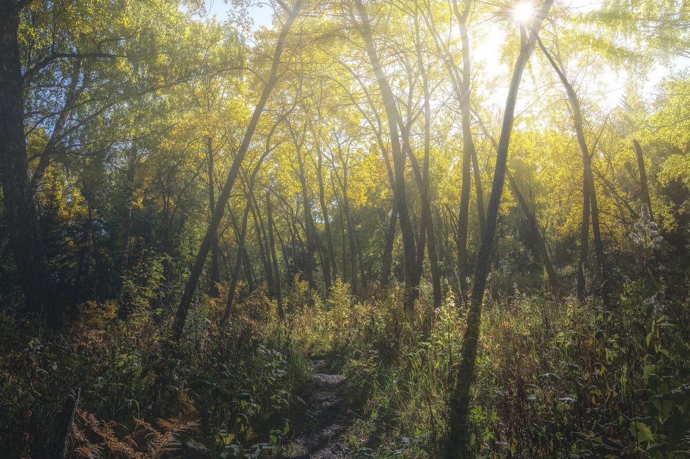 Photograph by Андрей Шарапов