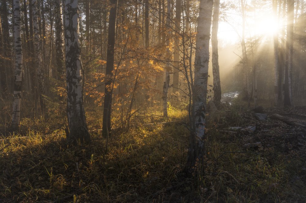 Photograph by Андрей Шарапов