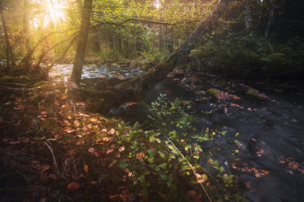 Photograph by Андрей Шарапов