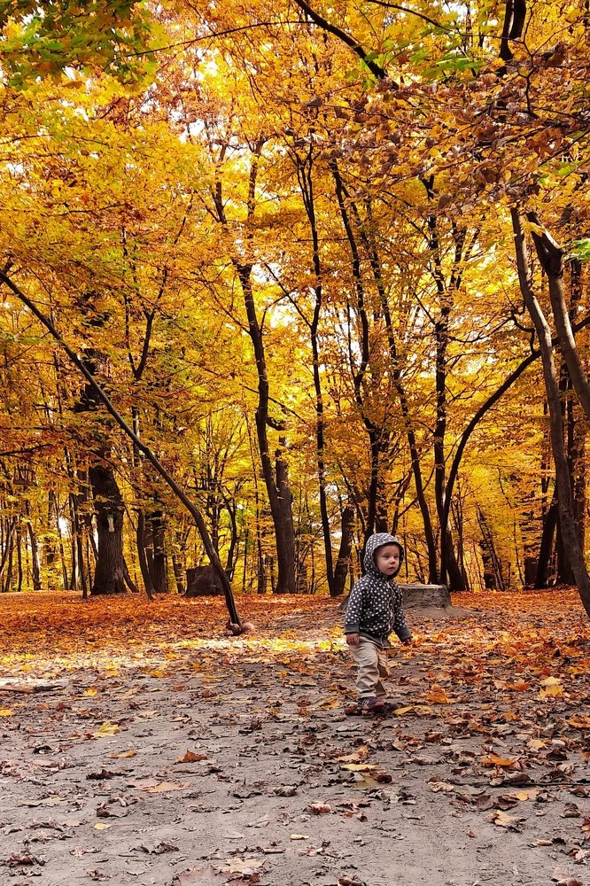 Photograph by Марина Шамич