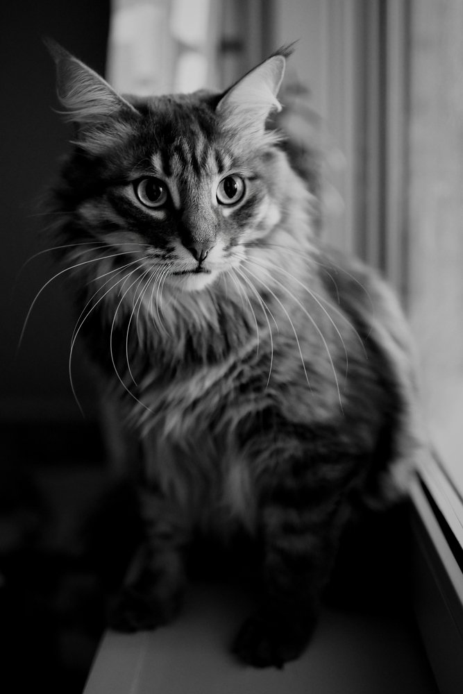 Photograph by Евгения Павлова