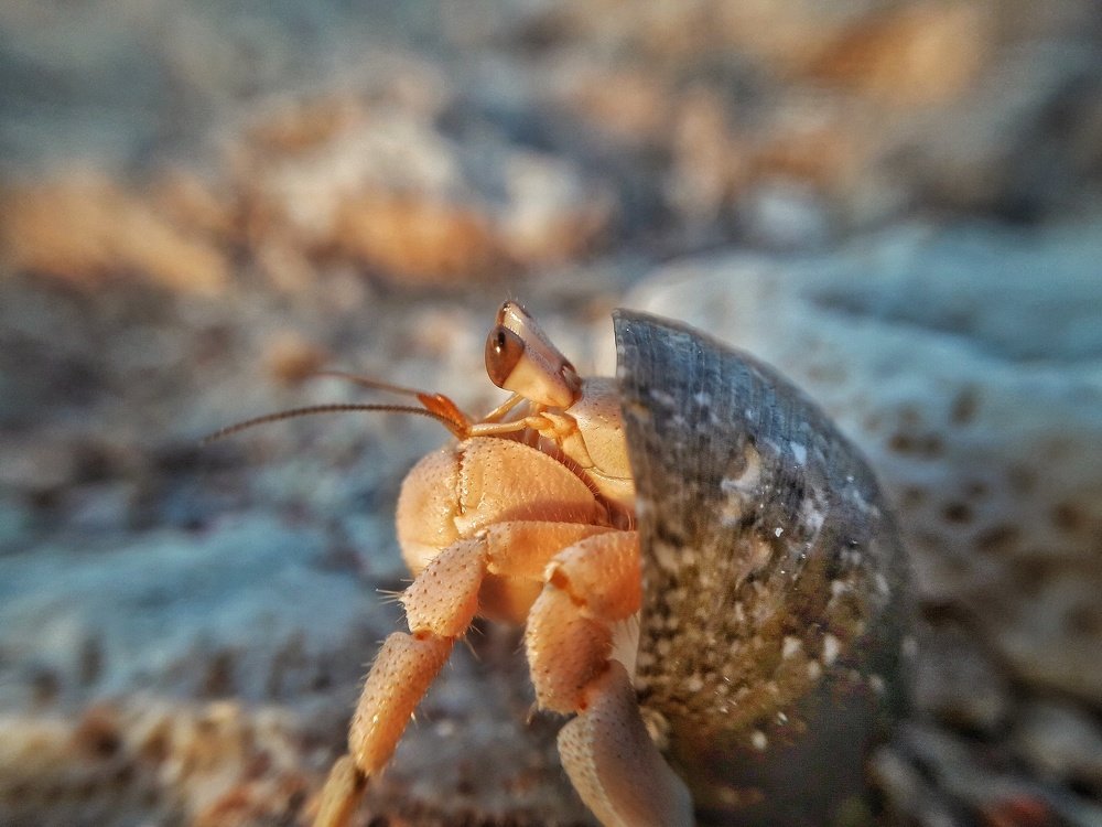 Египет моими глазами...