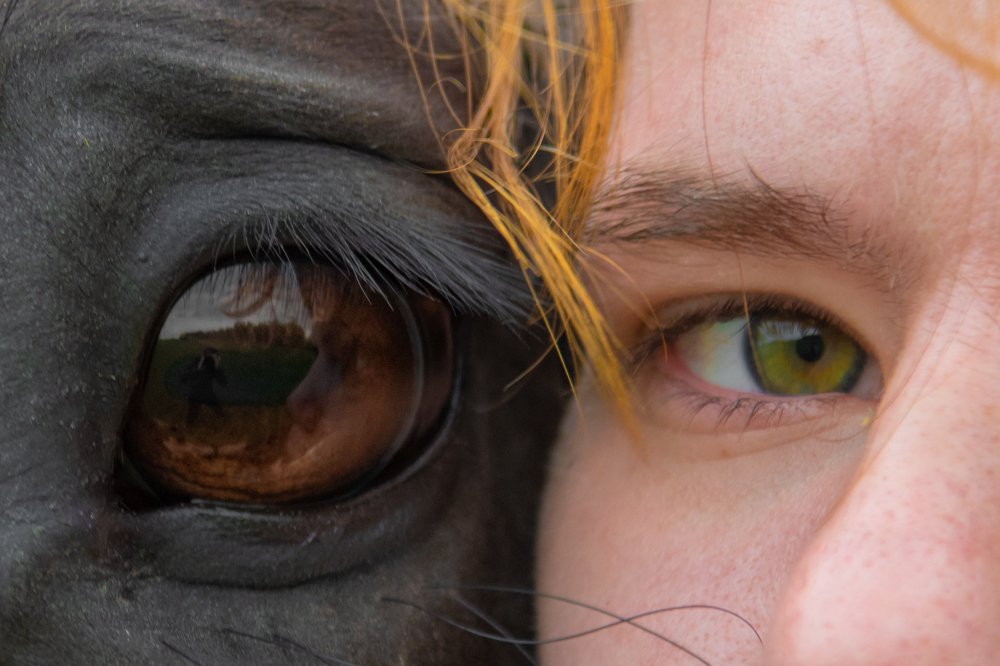 Photograph by Евгений